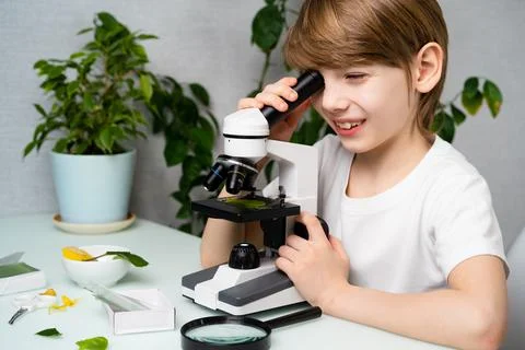 A little boy studies plants in a microscope and smile, back to school, schoolboy Foto stock