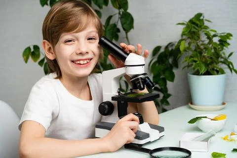 A little boy studies plants in a microscope and smile, back to school, schoolboy Stock Photos