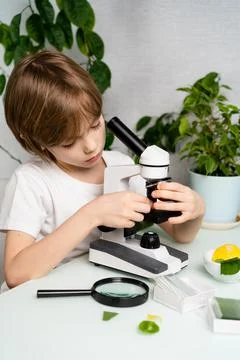 A little boy studies plants in a microscope and smile, back to school, schoolboy Stock Photos