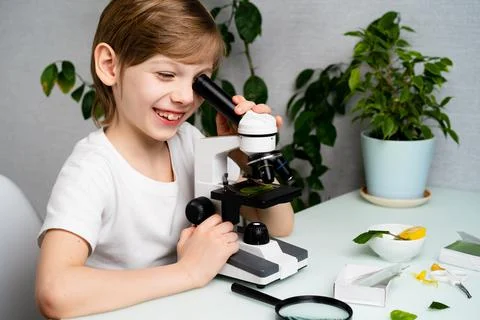 A little boy studies plants in a microscope and smile, back to school, schoolboy Foto stock