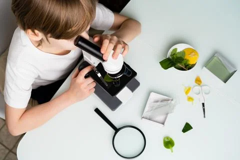 A little boy studies plants in a microscope, back to school, schoolboy, ecolo Foto stock