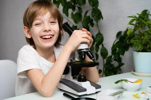A little boy studies plants in a microscope and smile, back to school, school Foto stock