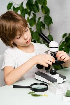 A little boy studies plants in a microscope and smile, back to school, schoolboy Stock-Fotos