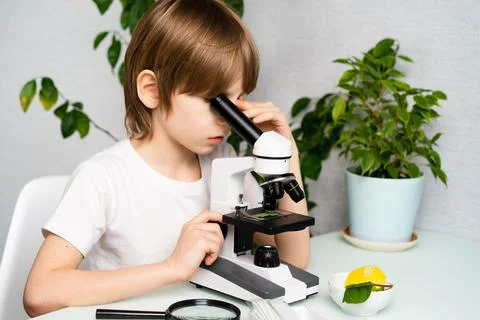 A little boy studies plants in a microscope and smile, back to school, schoolboy Stock Photos