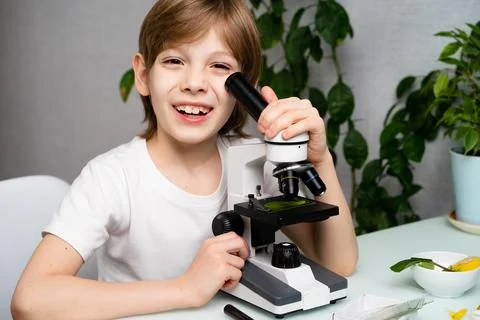 A little boy studies plants in a microscope and smile, back to school, schoolboy Foto stock
