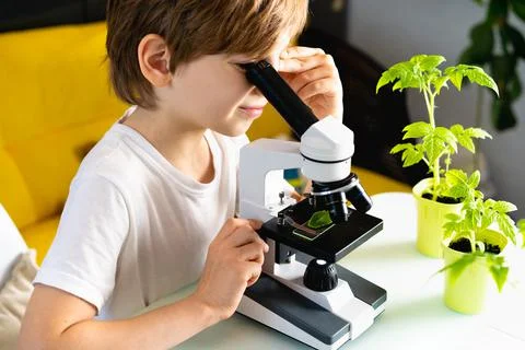 Little boy studies under the microscope plants, enthusiastically looks Foto stock