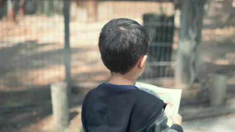 Little boy studying the map at zoo Stock Footage 183841817