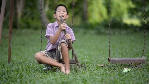 Little boy on swing at playground Stock Footage 79516965