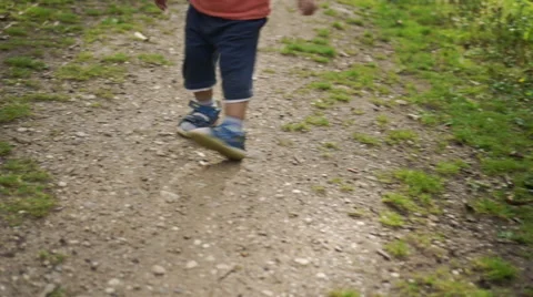 Little Boy Take a Walk Through a Park Stock Footage 62404112