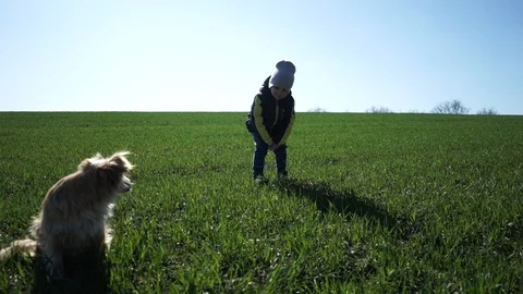 Little boy teasing dog dancing in front of dog.Slow motion Stock Footage 126358849