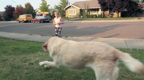 Little Boy Throwing a Ball for his Dog, a Yellow Lab Video stock 47484917