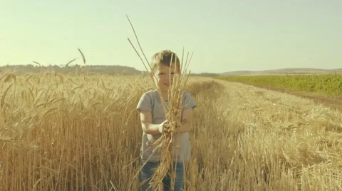 Little Boy Throwing Ears Of Wheat - slow motion Stock Footage 63472588