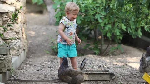 A little boy throws a box at the chicken and laughs. Stock Footage 133824006