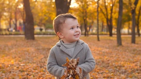 Little boy throws leaves up Stock Footage 122100075
