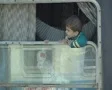 Little boy at train window SD Footage