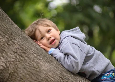 The little boy on the tree Stock Photos