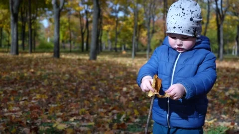 A little boy is trying to attach a fallen leaf to a tree branch Stock-Footage 220206196