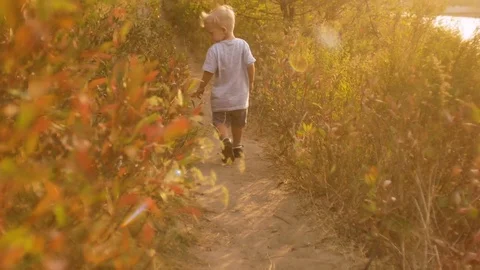 Little boy of two years old running in the forest Vídeos de archivo 79003409