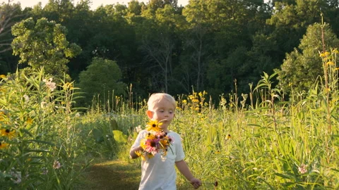 Little boy (two years old child) walking in park, picking wild flowers 스톡 동영상 113942483