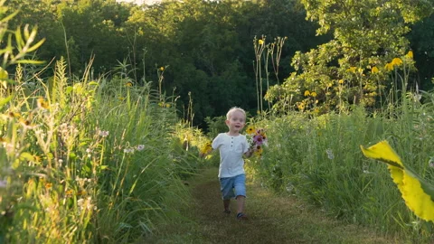 Little boy (two years old child) walking in park, picking wild flowers 库存影片 113943553