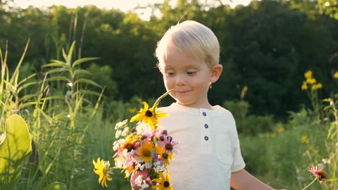 Little boy (two years old child) walking in park, picking wild flowers Видео 113944162