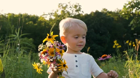 Little boy (two years old child) walking in park, picking wild flowers Vídeo Stock 113944884
