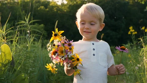 Little boy (two years old child) walking in park, picking wild flowers Stock Footage 113945448