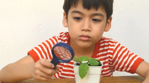 Little boy using magnifier watching new plant Stockbeeldmateriaal 51239616
