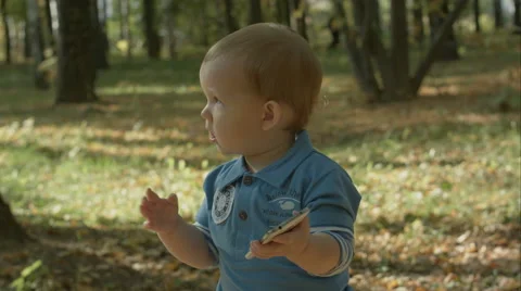 Little boy using smartphone in autumn park Stock Footage 56203684