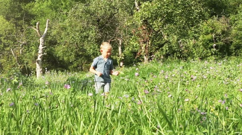 Little boy walking alone in forest Stock-Footage 26165501