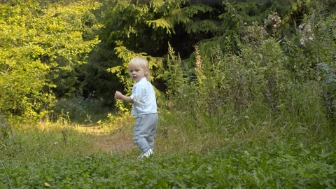 Little boy walking along the path in the forest Stock Footage 118704096