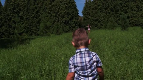 Little boy walking Stock Footage 72789556