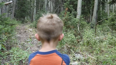 Little boy walking in the forest back of head Stock Footage 93688748
