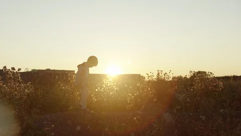 Little boy walking on a sunset in a wild flowers field Stock Footage 119993453