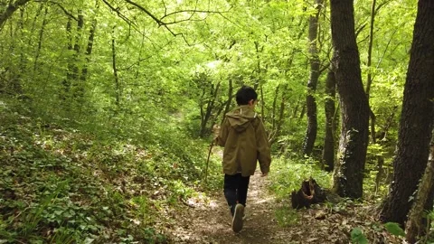 Little boy is walking through the forest. Hiking in mountain with walking stick. Stock Footage 136720352