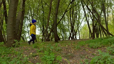 Little Boy Is Walking Through The Forest. Stock Footage 161401505