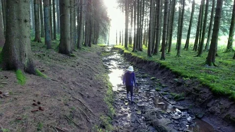 Little Boy walks through stream bed Vídeo Stock 82620068