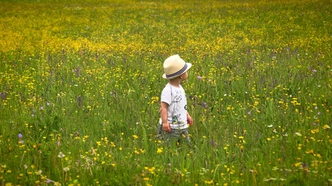 A little boy in a white hat plays a field flower field Stock Footage 111693781