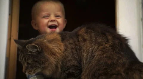 The little boy in the window with a cat. Boy gets upset when the cat walks away Video stock 66443189