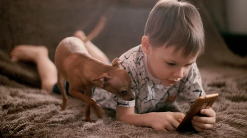 A little boy, without leaving home, plays games on a smartphone. His dog is Video stock 128167331