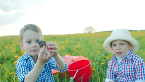 Little boys are exploring caught snail at the field Stock Footage 79466242