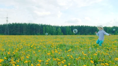 Little boys are playing with bubbles at flowering field Stock Footage 79464204