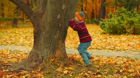 Little boys are playing hide-and-seek in the autumn park Stock Footage 83742783
