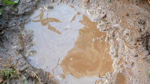 Little boy's hands playing with mud. Stock Footage 306777966