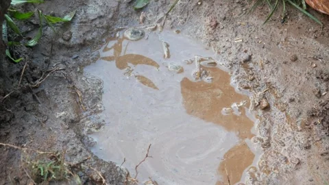 Little boy's hands playing with mud. Stock Footage 306778076