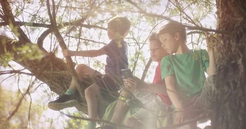 Little Boys playing on smartphone while sitting on a tree Stock Footage 77615355