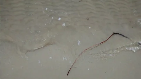Little Branch and waves. Stock Footage 125612398