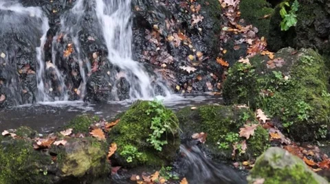 Little Brook and waterfall Stock Footage 48456674