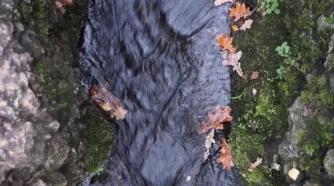 Little Brook Stock Footage 48455921