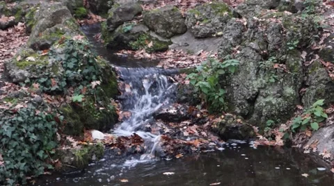 Little Brook Stock Footage 48456548